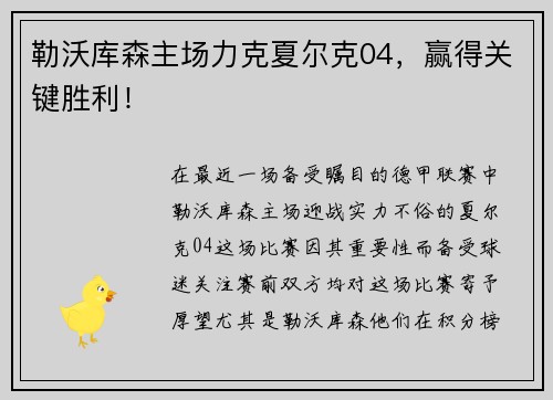 勒沃库森主场力克夏尔克04，赢得关键胜利！
