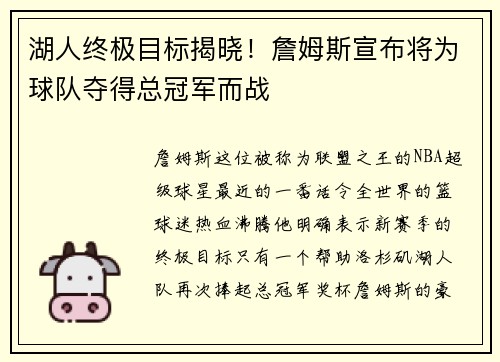 湖人终极目标揭晓！詹姆斯宣布将为球队夺得总冠军而战